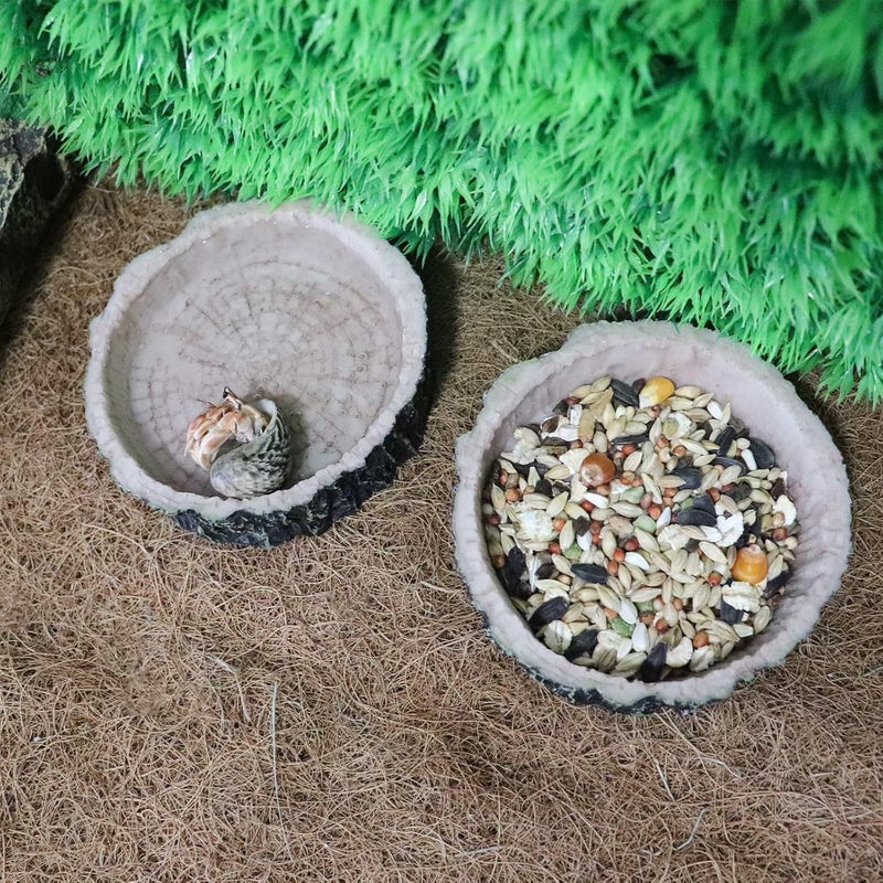 Neeenn 3 Pack Reptile Water Dish Food Bowls, Hermit Crab Food Dish with Feeding Tongs, Bearded Dragon Water Bowl, Suitable for Hermit Crab Lizard Gecko Tortoise Turtle Frog Leopard Crested Gecko - Image 3